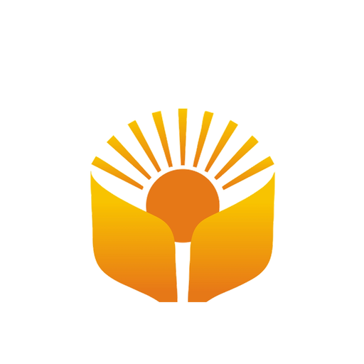 BrightSource